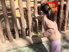 -银川动物园