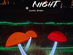 -花博汇(知音花月夜)