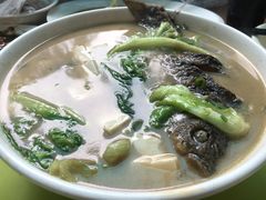 鲫鱼豆腐汤-小乐惠(西溪路店)