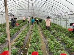 -武汉世外桃源农庄