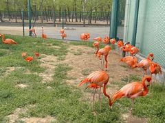 -秦皇岛野生动物园