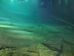 -白鹤梁水下博物馆