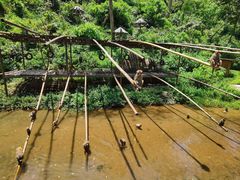 -野象谷景区