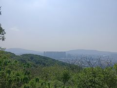 -灵岩山风景区