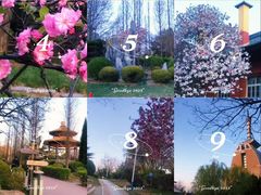 -大连中山公园
