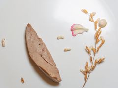 -潮汕味道·煮海餐厅(金麟大厦店)