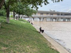 -灞河西岸滨河公园