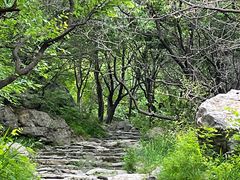 -阳台山自然风景区