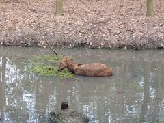 iphone_upload_pic-溱湖国家湿地公园