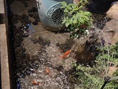 -红蜡烛-养生粥-津鲁菜(中山路店)