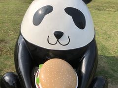 -桂溪生态公园