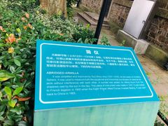 -紫金山天文台