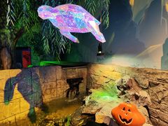 -沈阳海洋探索中心