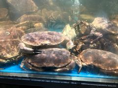 -盒马鲜生(曜一城店)