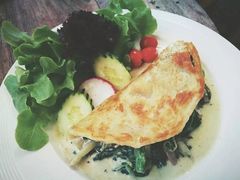 -Fern Forest Cafe