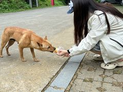 -广州市石门国家森林公园