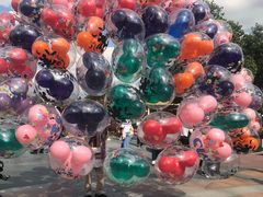 -上海迪士尼度假区