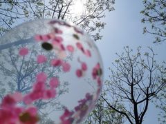 -洨河生态公园