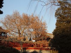 景山公园-景山公园
