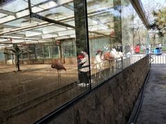 -石家庄市动物园