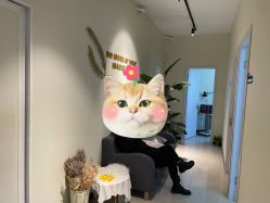 -芮娅时光半永久纹眉·美甲美睫·皮肤管理