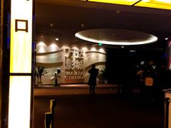 -万达影城(汉街万达广场IMAX店)