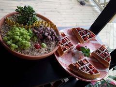 -森居forest休闲咖啡聚集地