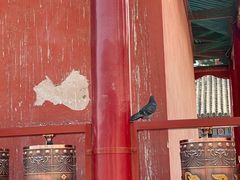 -大召寺明清一条街