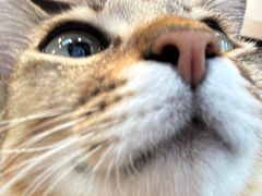 -Again Coffee Roaster(香蜜湖店)