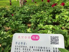 -仁和公园(顺义区)