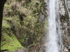 -姑婆山旅游区