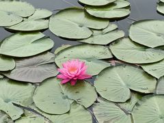 -昆明市金殿名胜区
