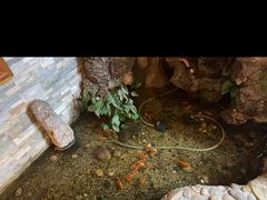 -鸥迪足道(金州店)