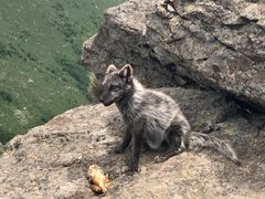 -灵山