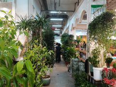 -双季花艺园艺市场(浦东店)