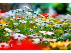 -共青国家森林公园-售票处