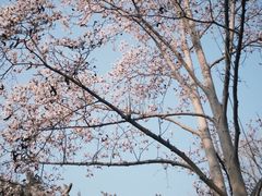 -碑林公园