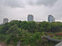 -两江幸福广场