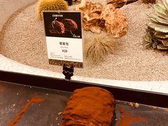 -OUR Bakery(SKP-S店)