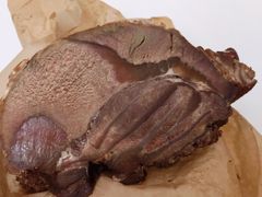 酱牛肉-上海牛羊肉公司塘沽路清真门市部