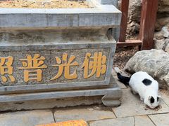 -四门塔风景区