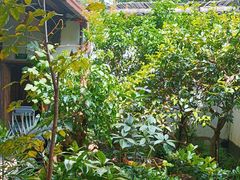 -院子餐厅·大锅菜·老杭帮(桥西直街店)