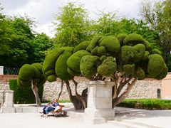 -丽池公园
