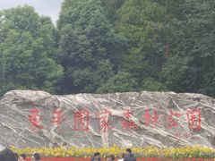 -东平国家森林公园