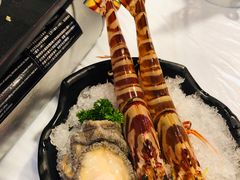 -鲜入围煮花胶鸡海鲜火锅