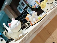 -藏猫猫咖啡主题馆(中央大道店)