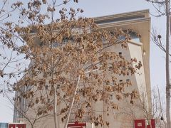 -巴音郭楞蒙古自治州博物馆