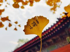 -承恩寺