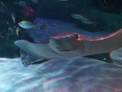 -沈阳海洋探索中心