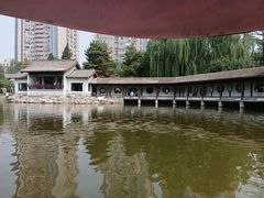 -团结湖公园